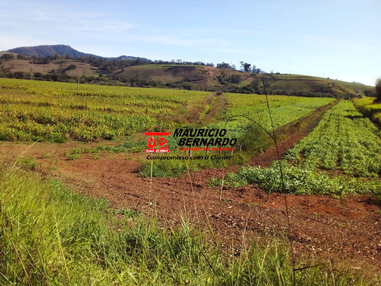 Terreno, 220 m² - Foto 2