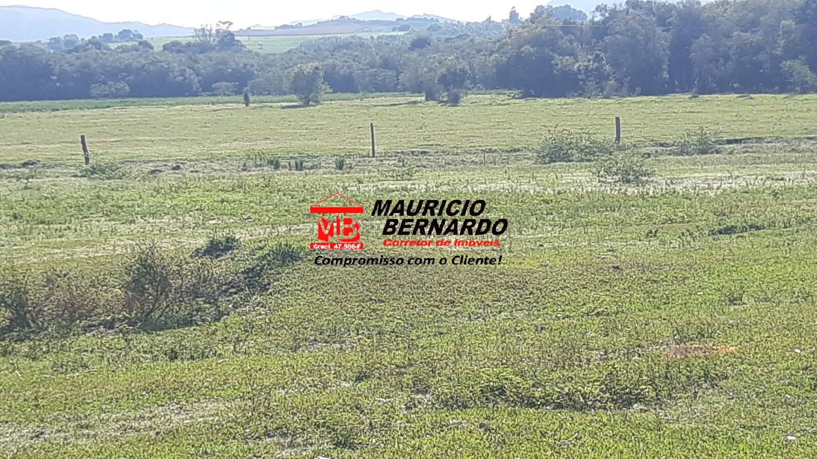 Terreno, 220 m² - Foto 4