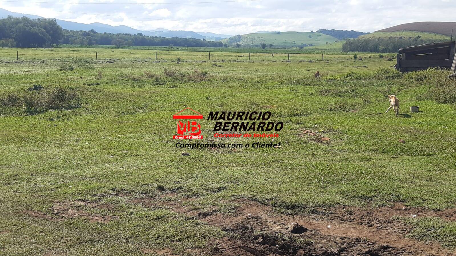 Terreno, 220 m² - Foto 13
