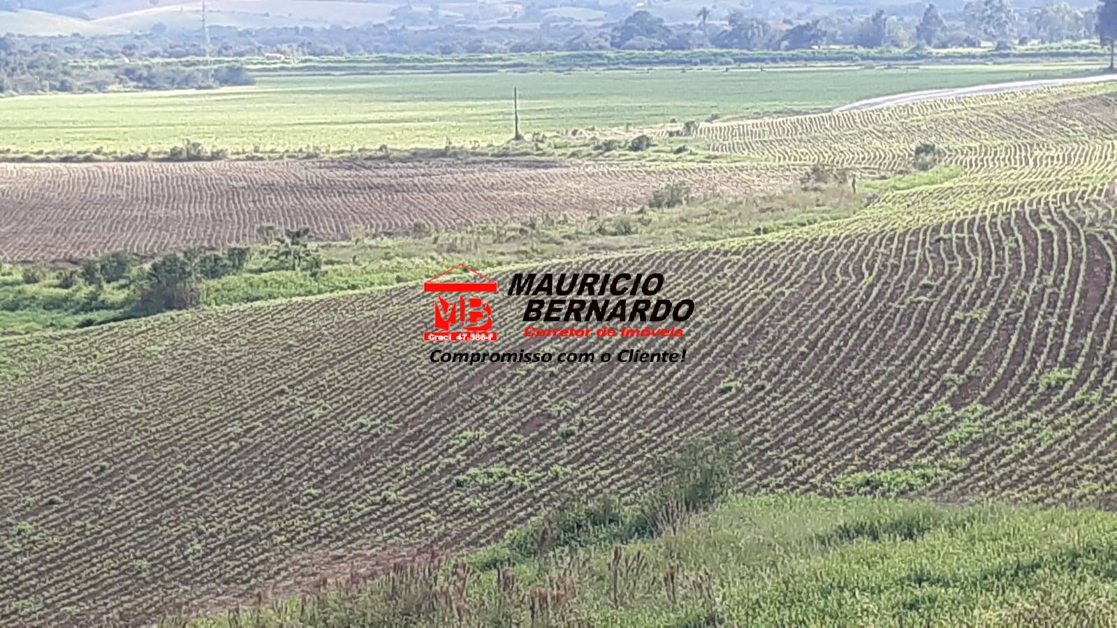 Terreno, 220 m² - Foto 5