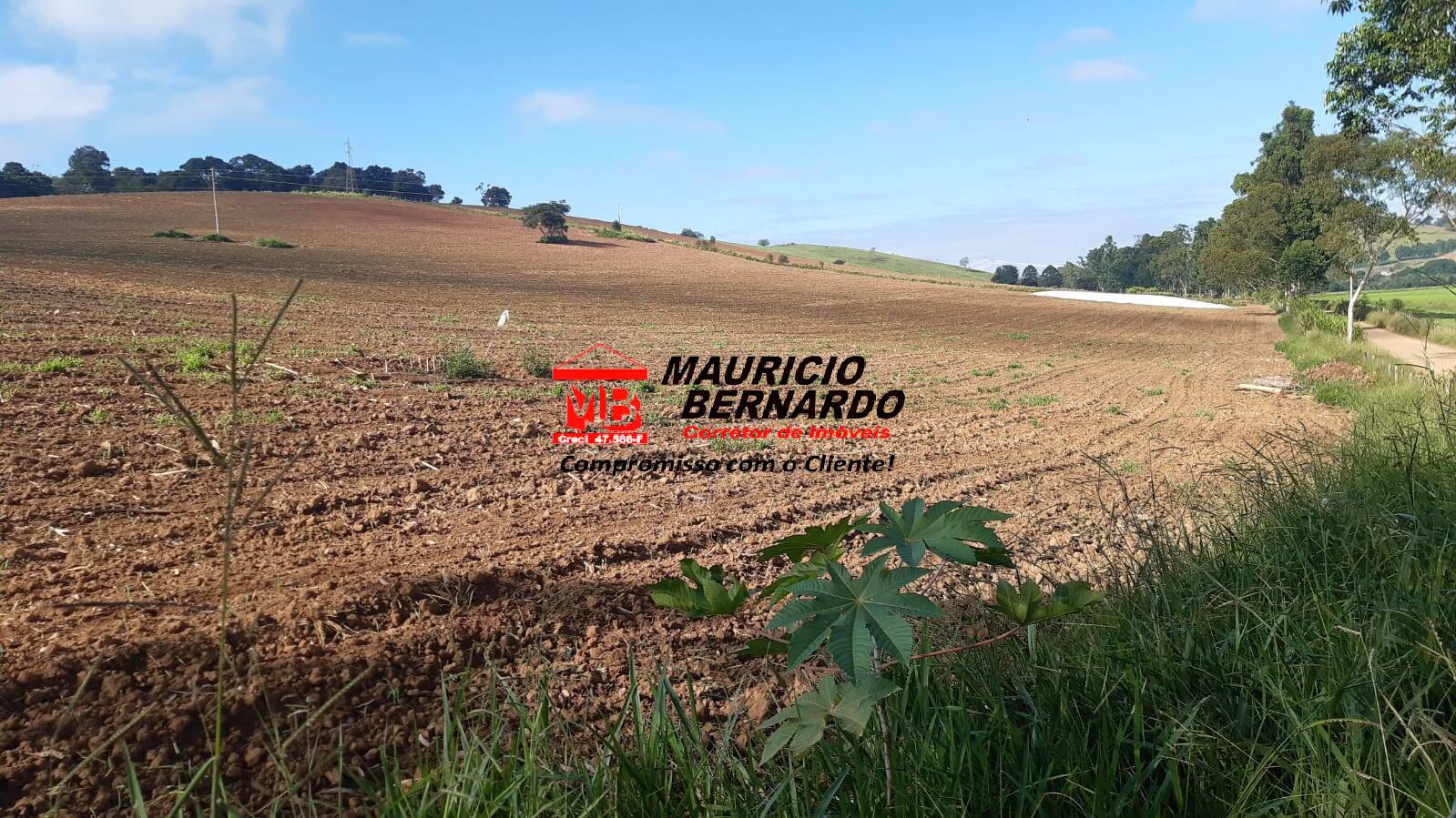 Terreno, 220 m² - Foto 14