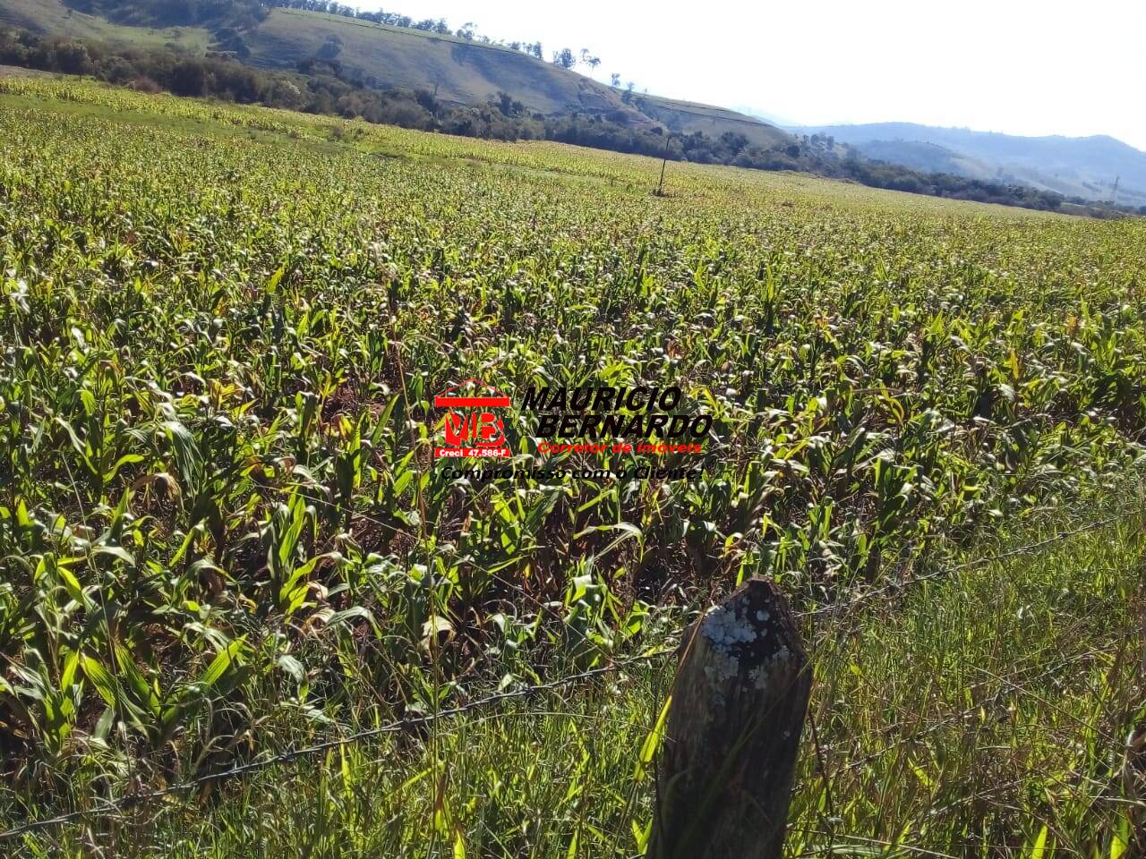 Terreno, 220 m² - Foto 17