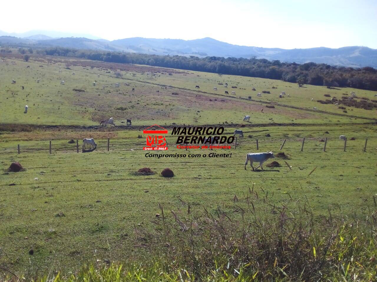 Terreno, 220 m² - Foto 1