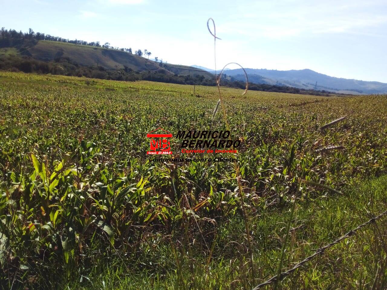 Terreno, 220 m² - Foto 26