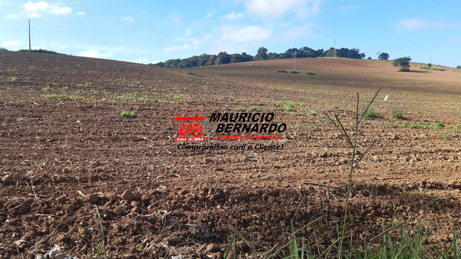 Terreno, 220 m² - Foto 27