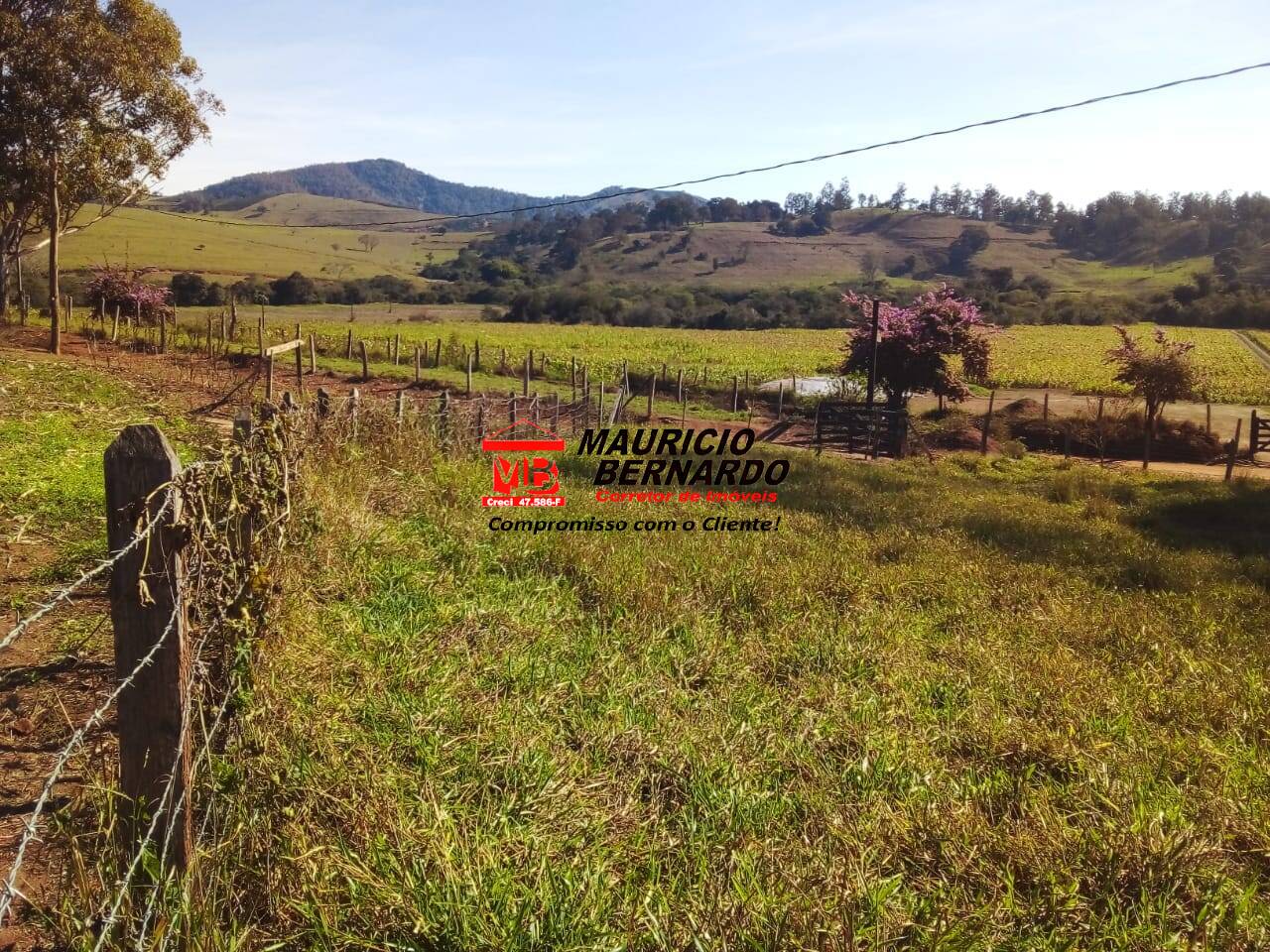 Terreno, 220 m² - Foto 29