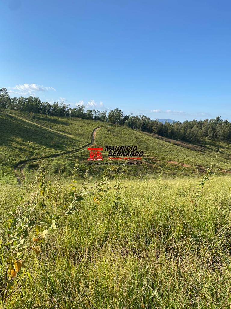 Terreno, 435 m² - Foto 8