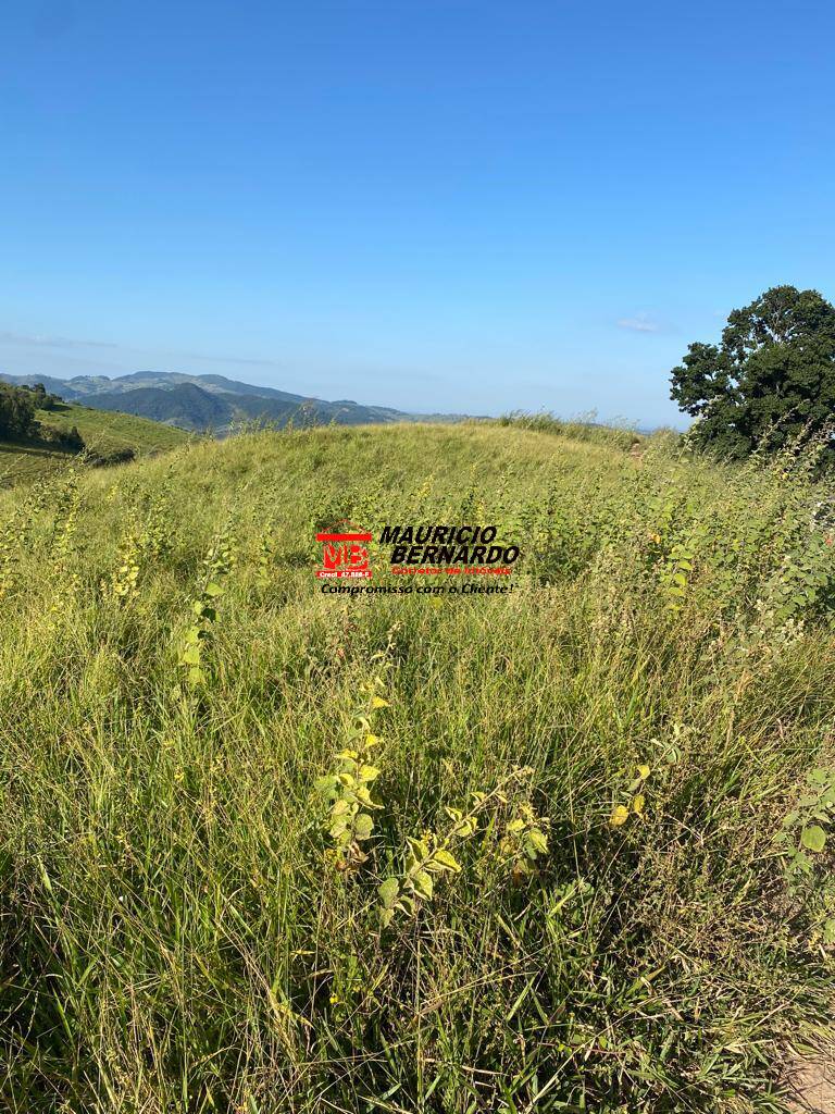 Terreno, 435 m² - Foto 23