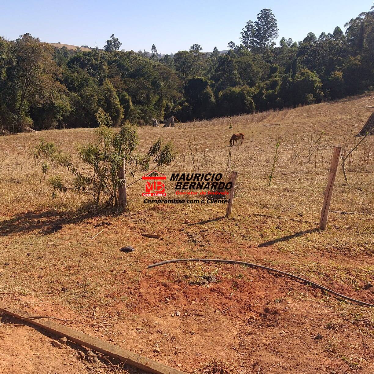 Terreno, 7 m² - Foto 4