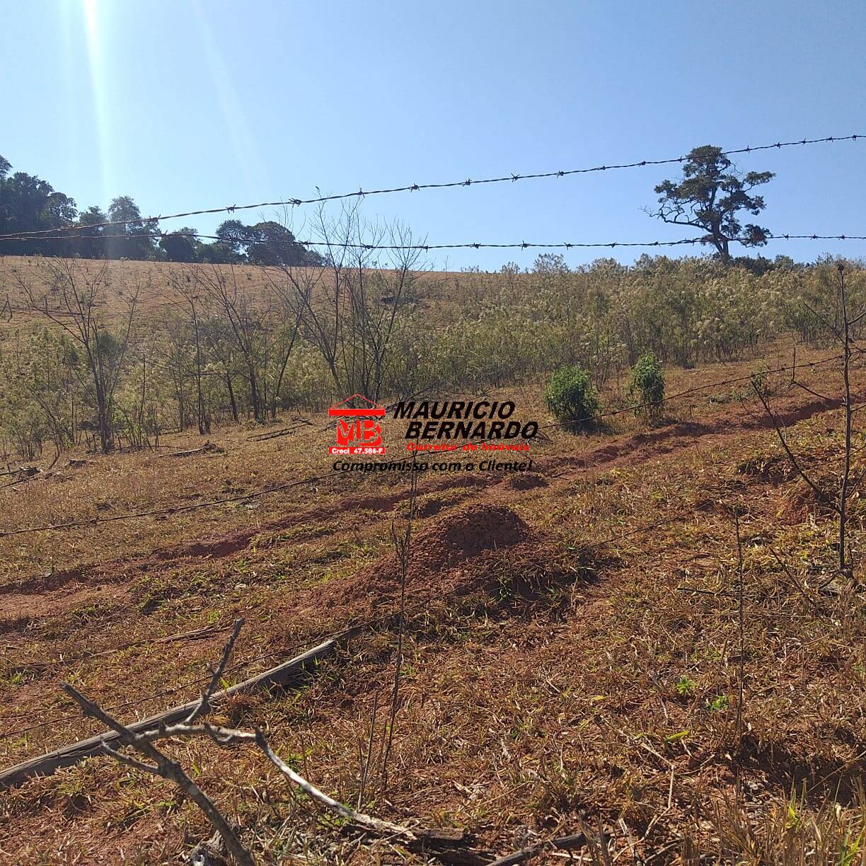 Terreno, 7 m² - Foto 6