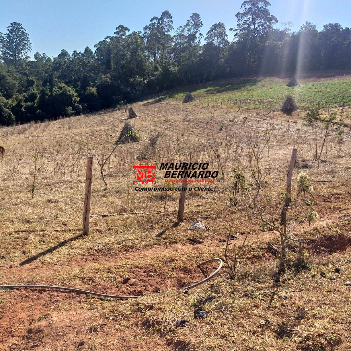 Terreno, 7 m² - Foto 13