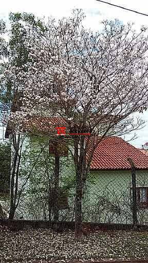 Chácara, 3 quartos, 1000 m² - Foto 20