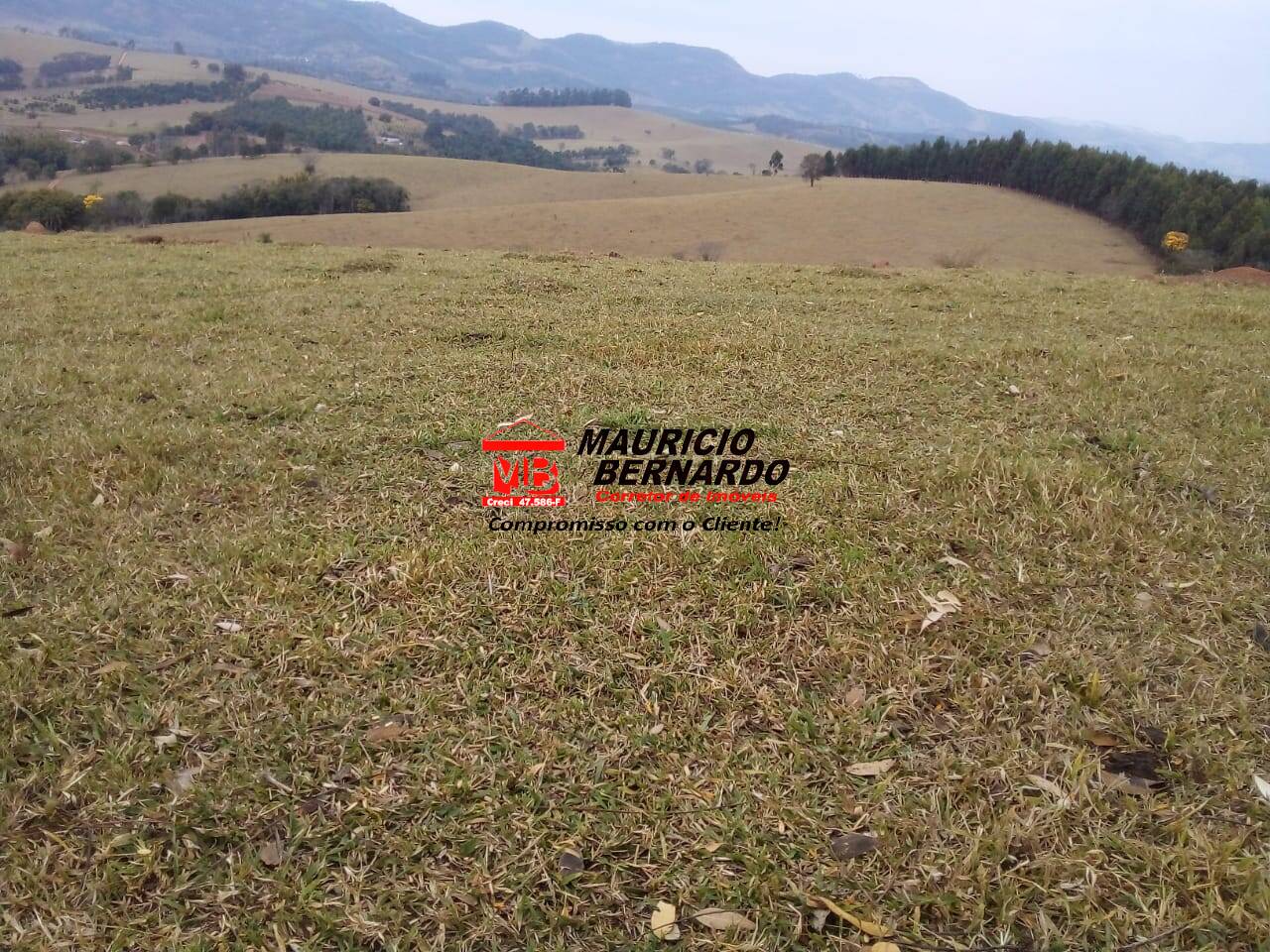 Sítio, 2 quartos, 14 m² - Foto 1