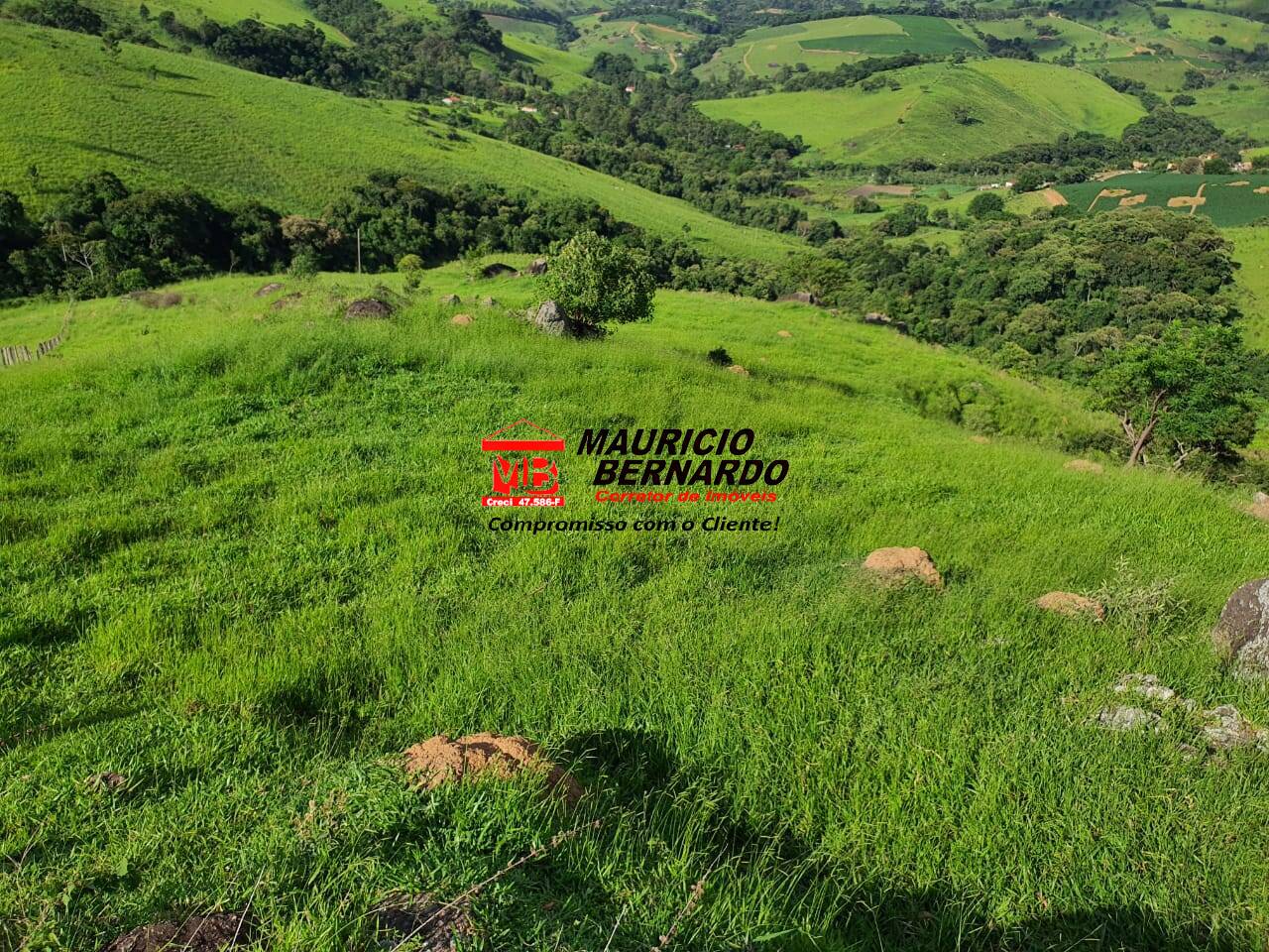 Fazenda, 60 m² - Foto 12