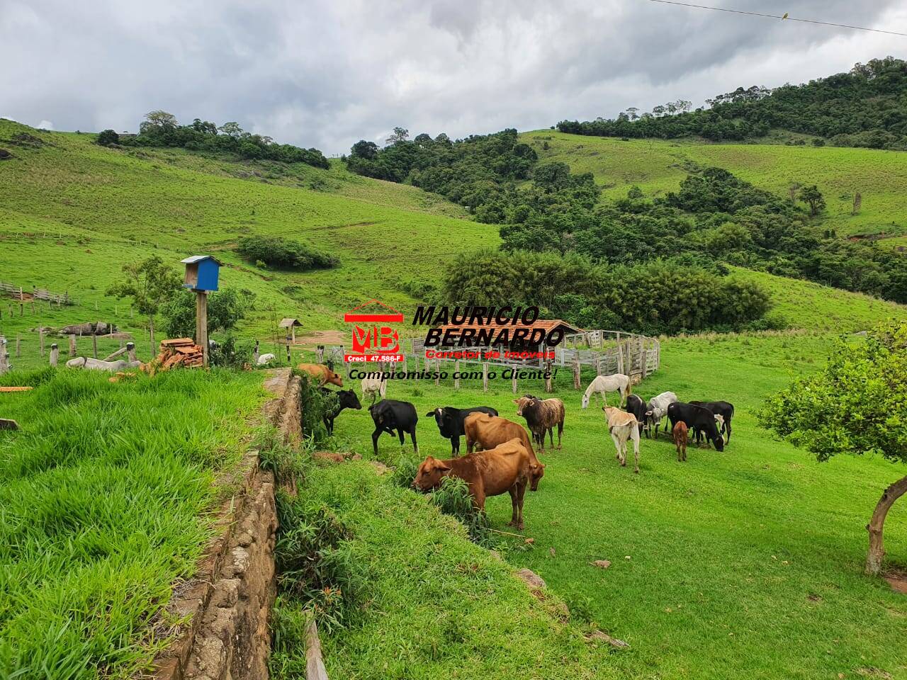 Fazenda, 60 m² - Foto 3