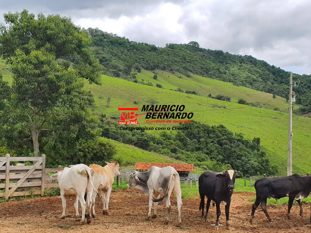 Fazenda, 60 m² - Foto 1