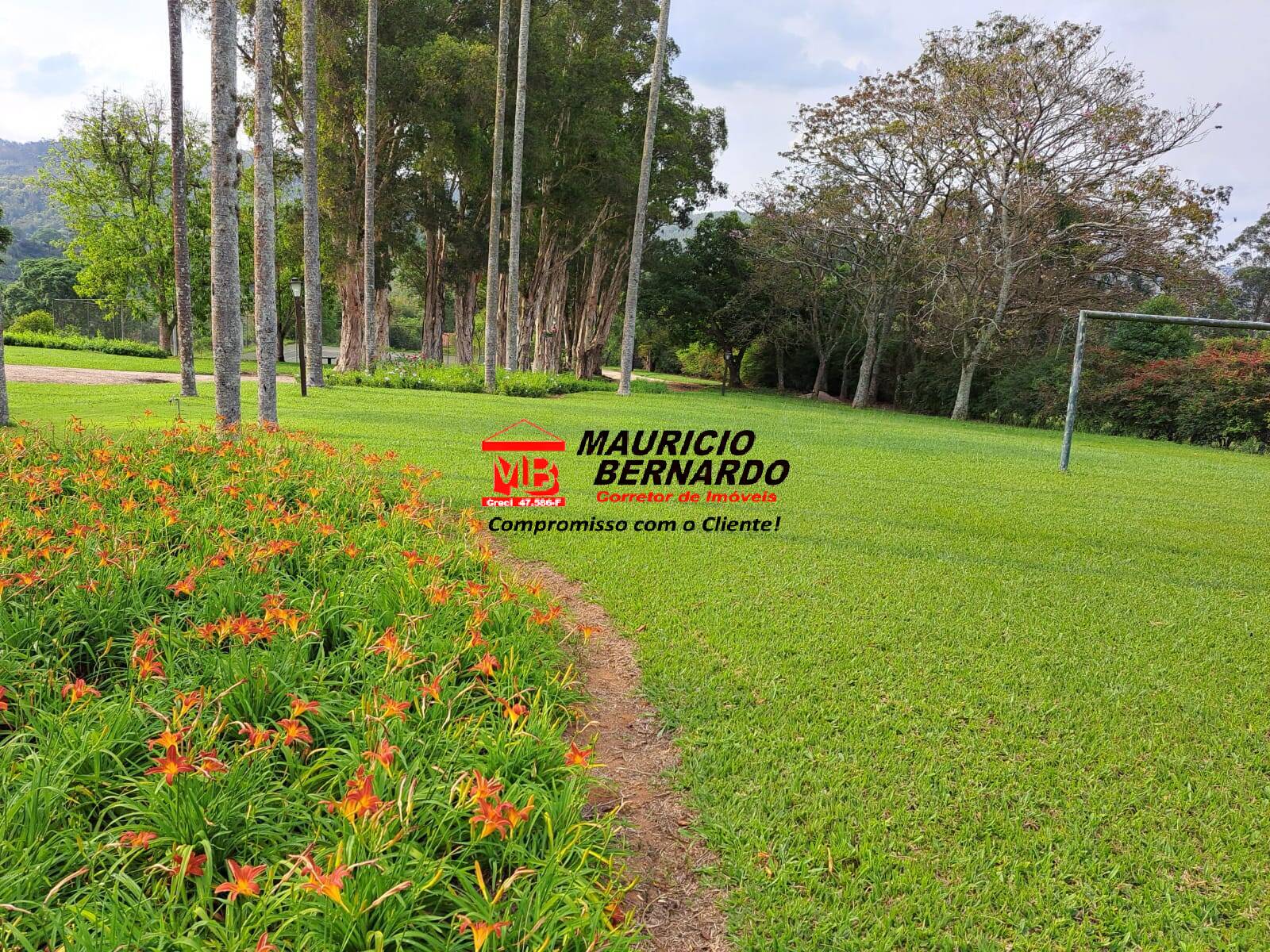 Terreno, 128 m² - Foto 19