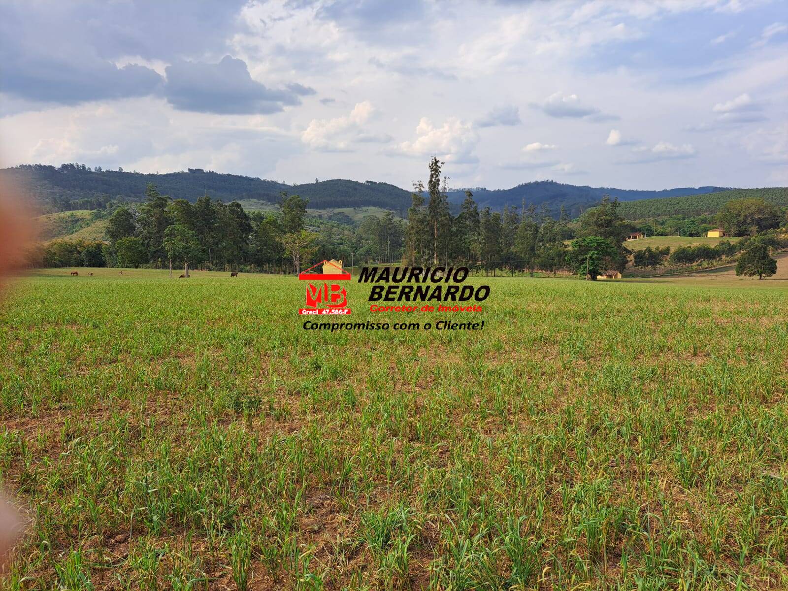 Terreno, 128 m² - Foto 23