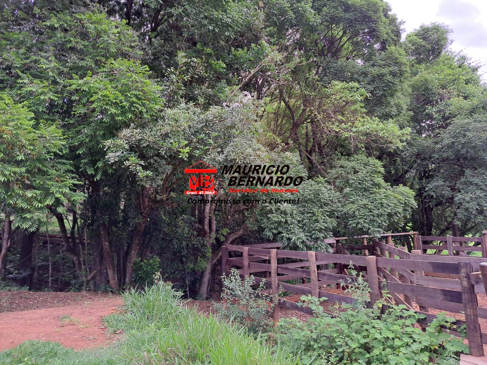 Terreno, 9 m² - Foto 6