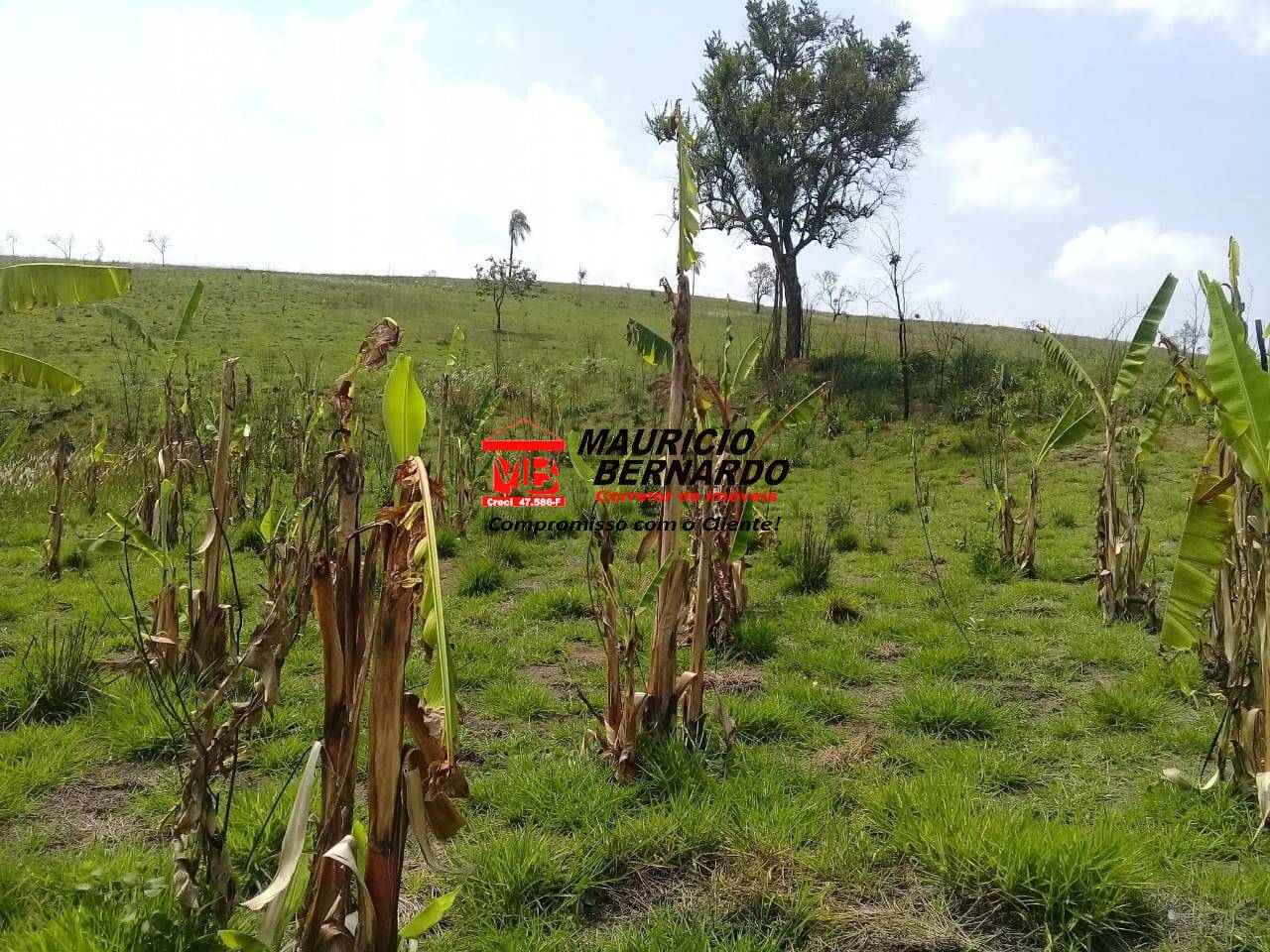 Terreno, 19 m² - Foto 7
