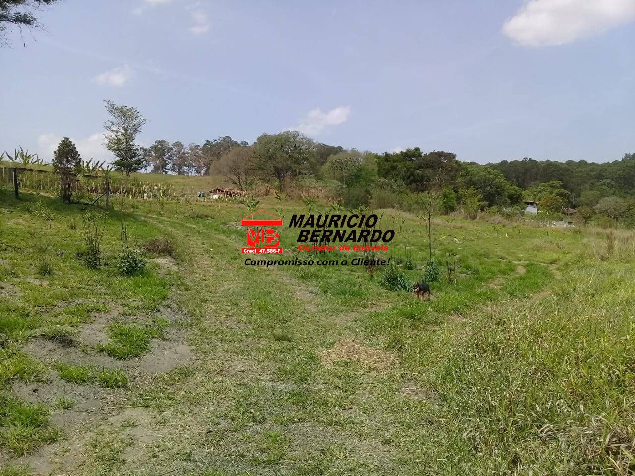 Terreno, 19 m² - Foto 12