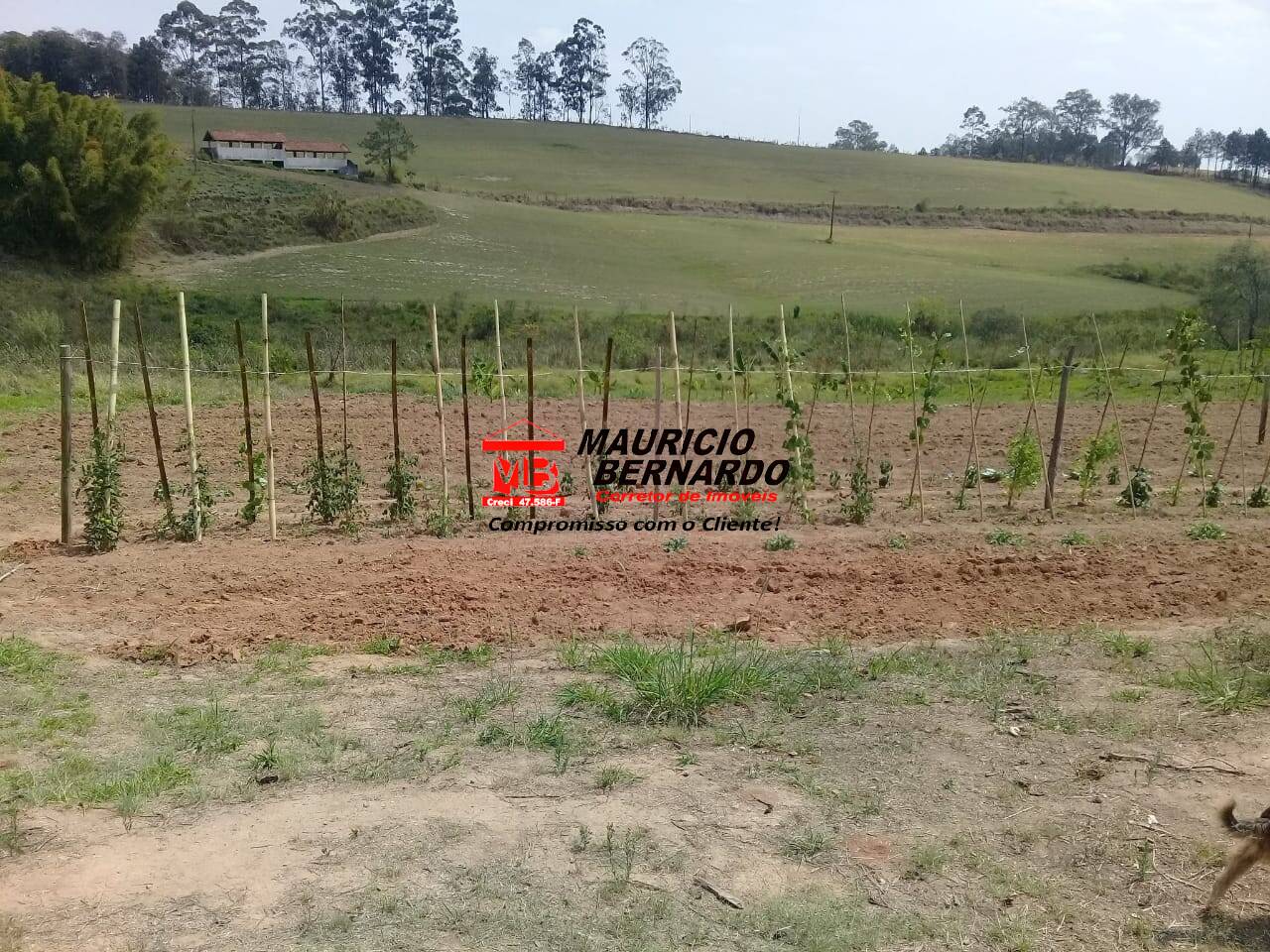 Terreno, 19 m² - Foto 14