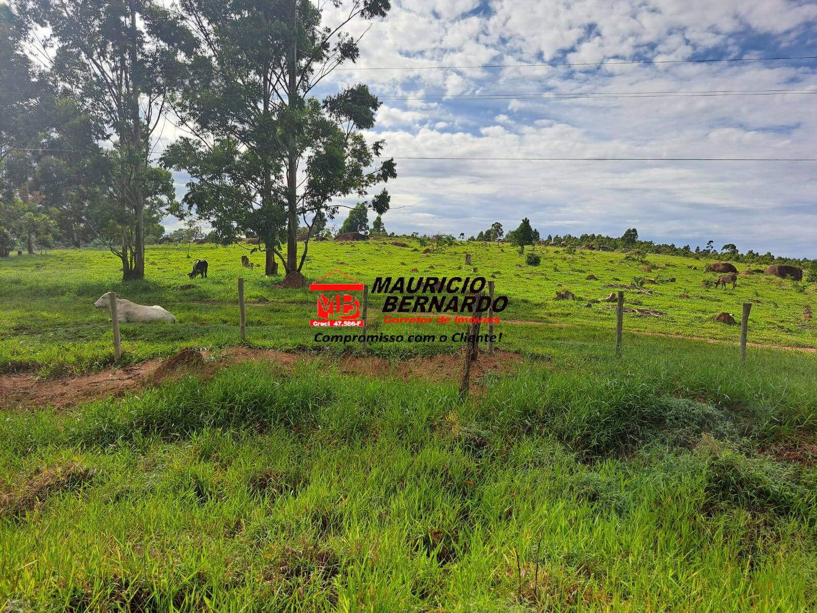 Terreno, 79 m² - Foto 1