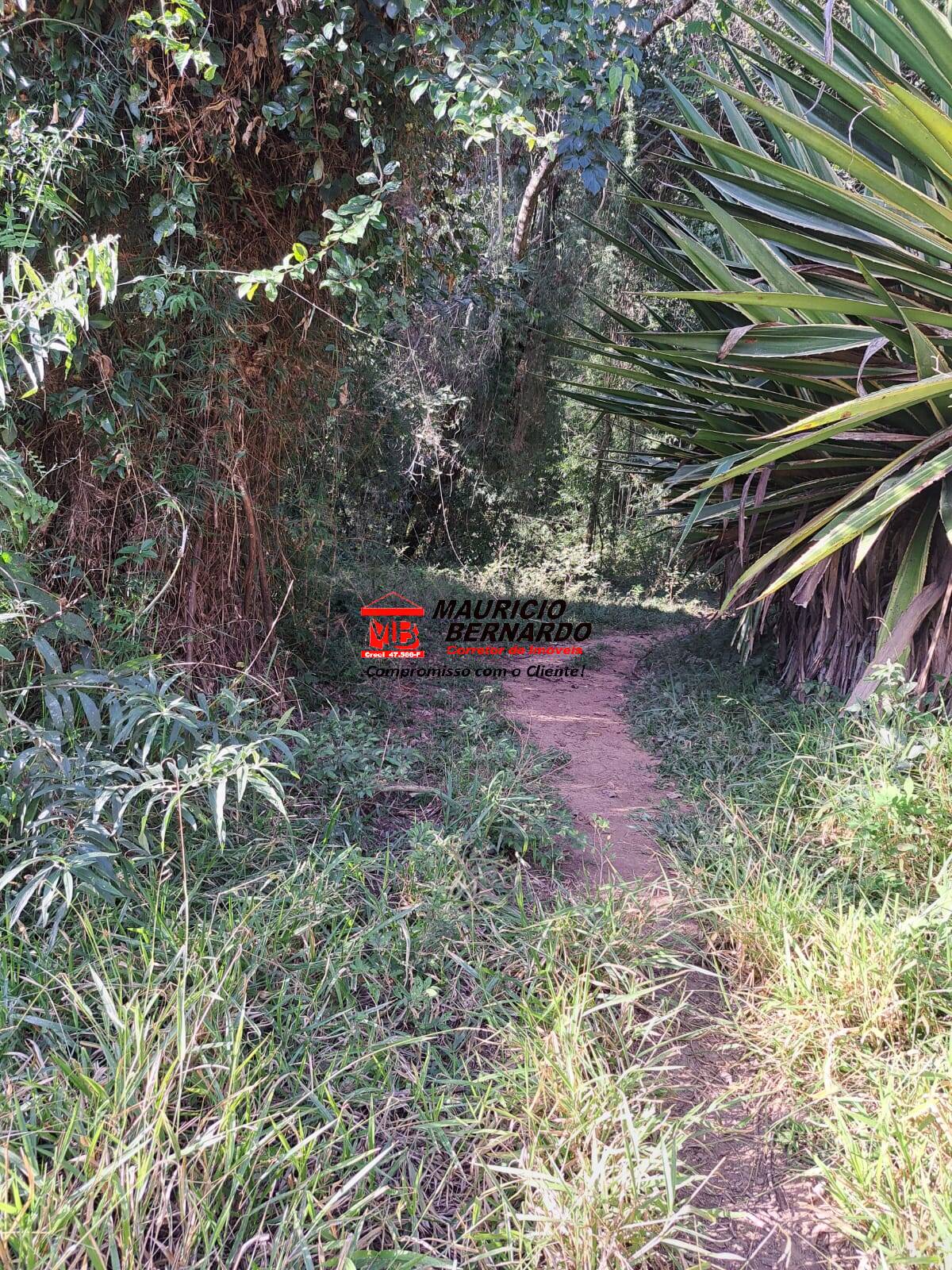Terreno, 58 m² - Foto 24