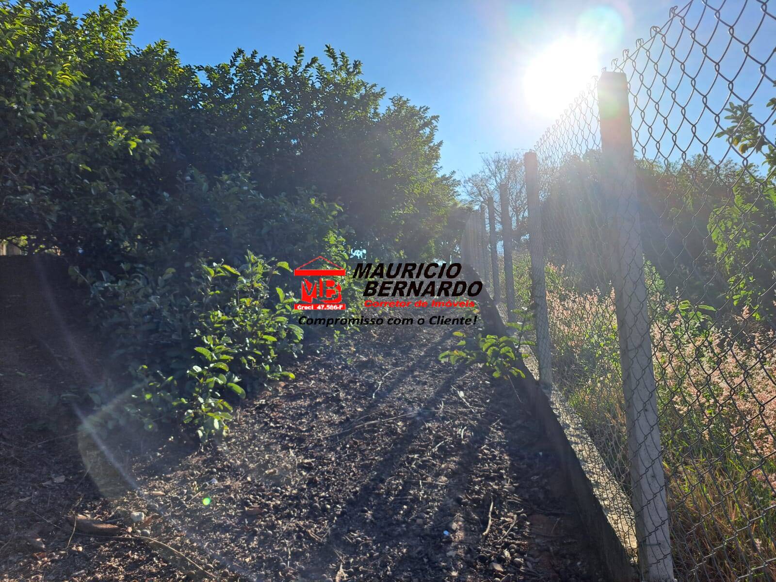 Terreno, 1 m² - Foto 6