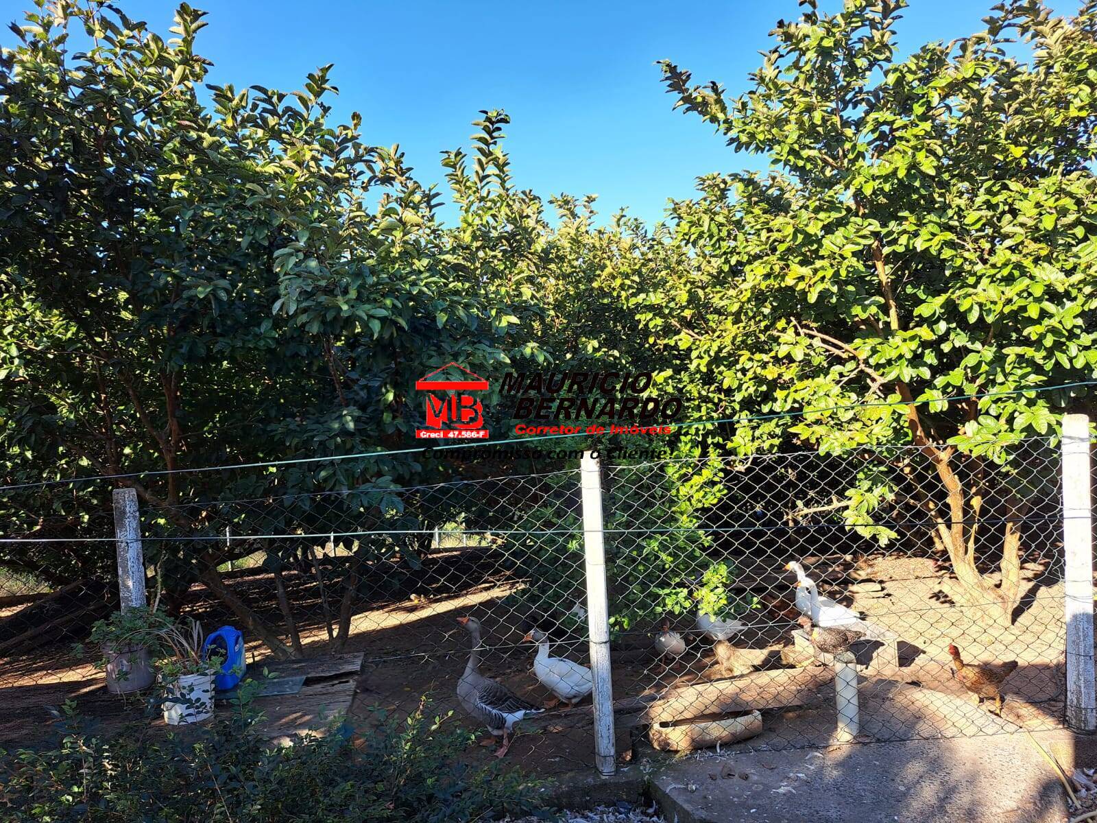 Terreno, 1 m² - Foto 11
