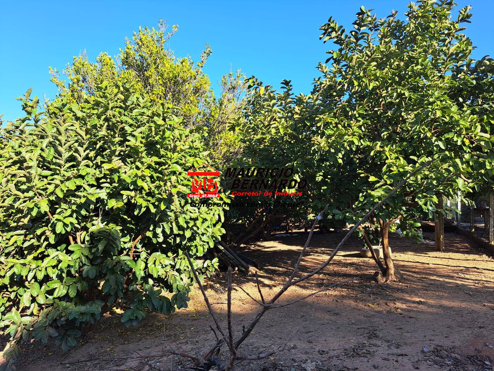 Terreno, 1 m² - Foto 14