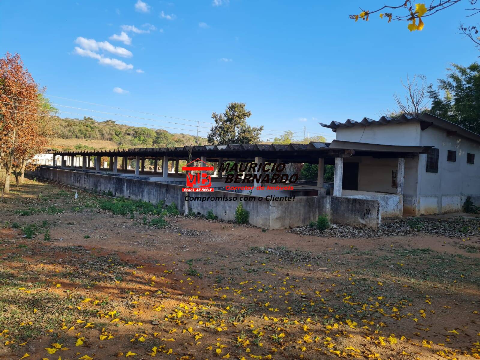 Terreno, 50 m² - Foto 9