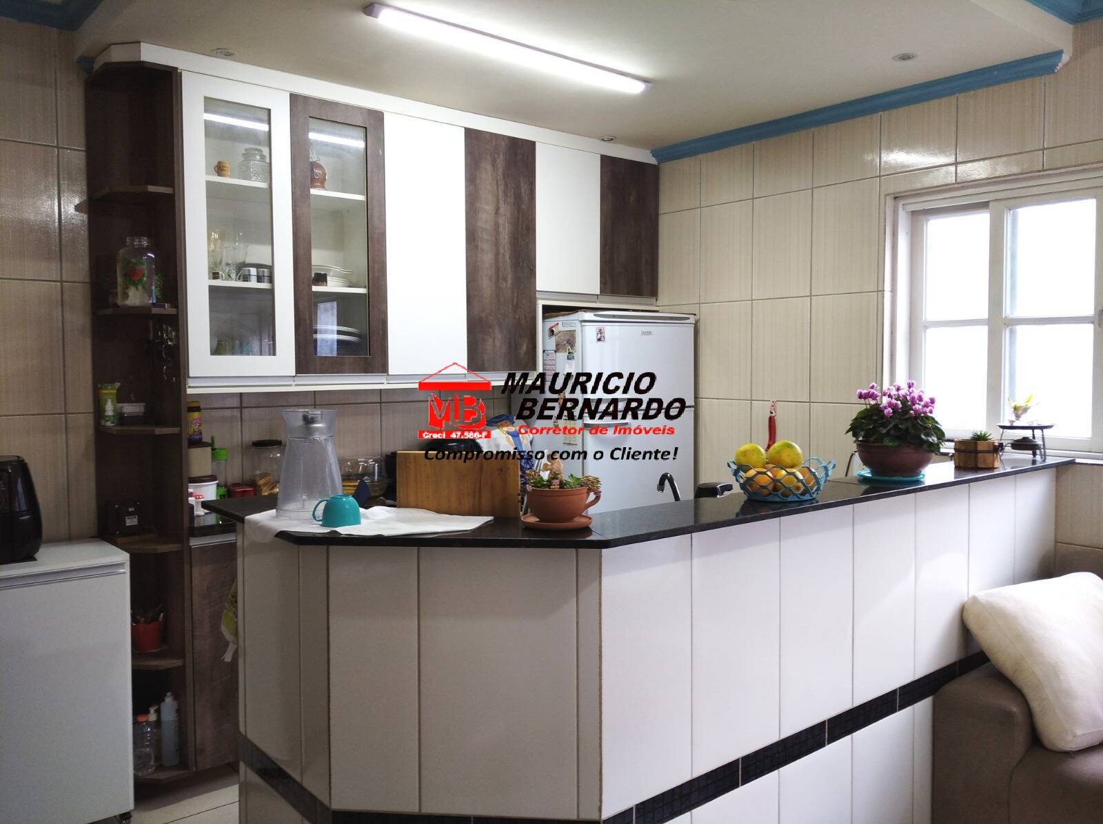 Chácara, 3 quartos, 1000 m² - Foto 9