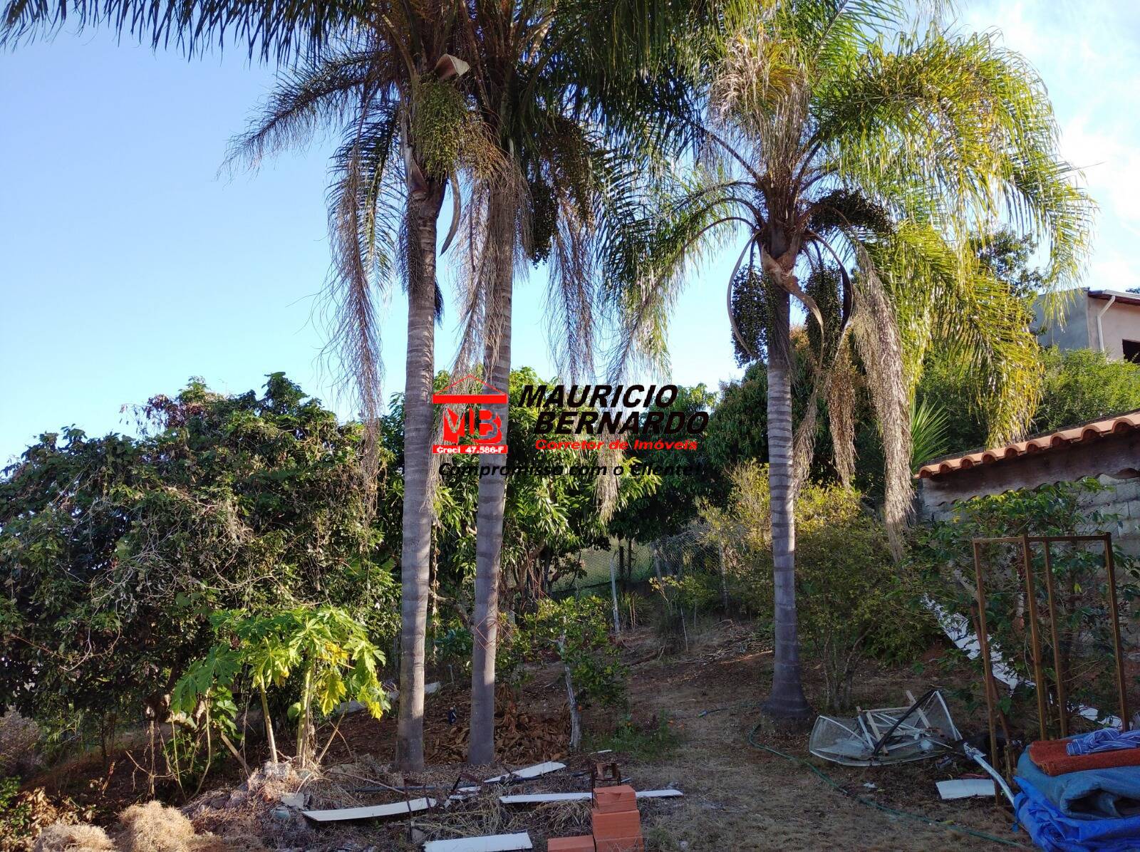 Chácara, 3 quartos, 1000 m² - Foto 11