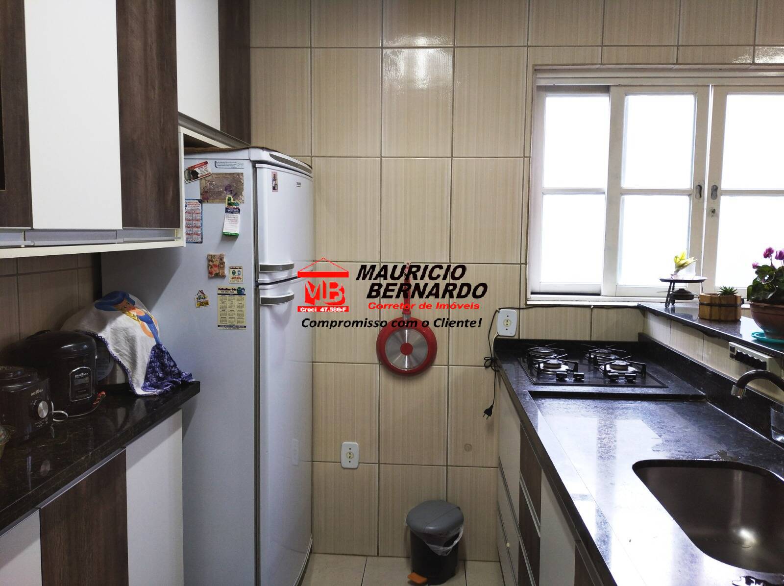 Chácara, 3 quartos, 1000 m² - Foto 13