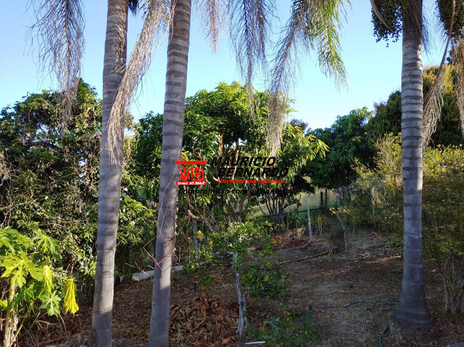 Chácara, 3 quartos, 1000 m² - Foto 16