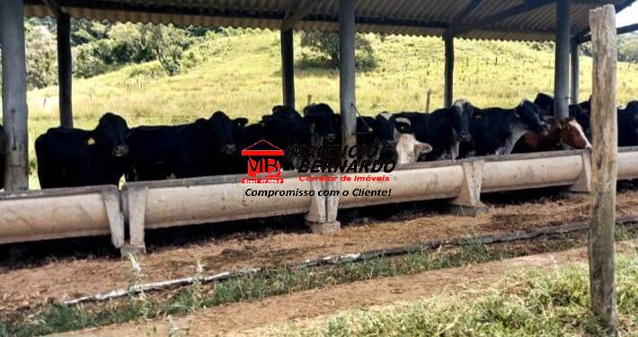 Terreno, 200 m² - Foto 4