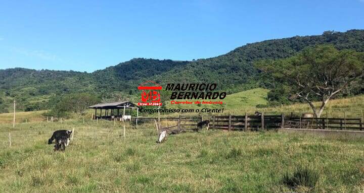 Terreno, 200 m² - Foto 7