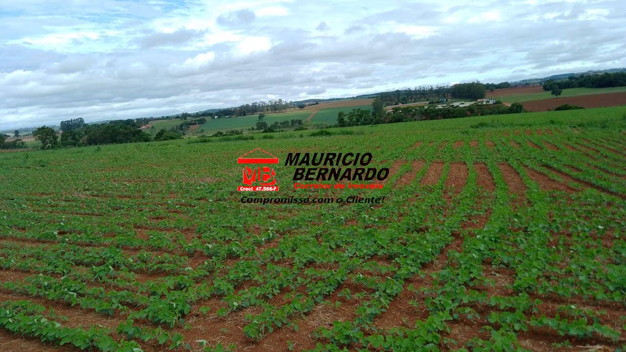 Terreno, 9 m² - Foto 3