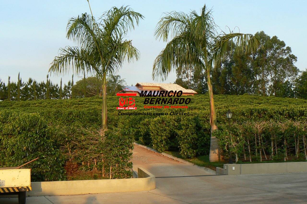 Sítio, 4 quartos, 4 m² - Foto 2