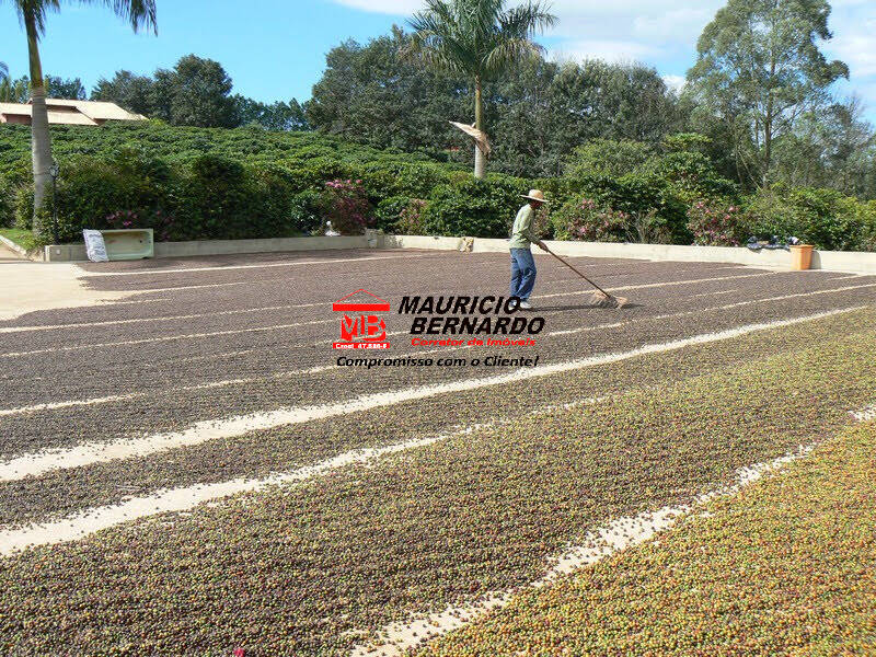 Sítio, 4 quartos, 4 m² - Foto 13