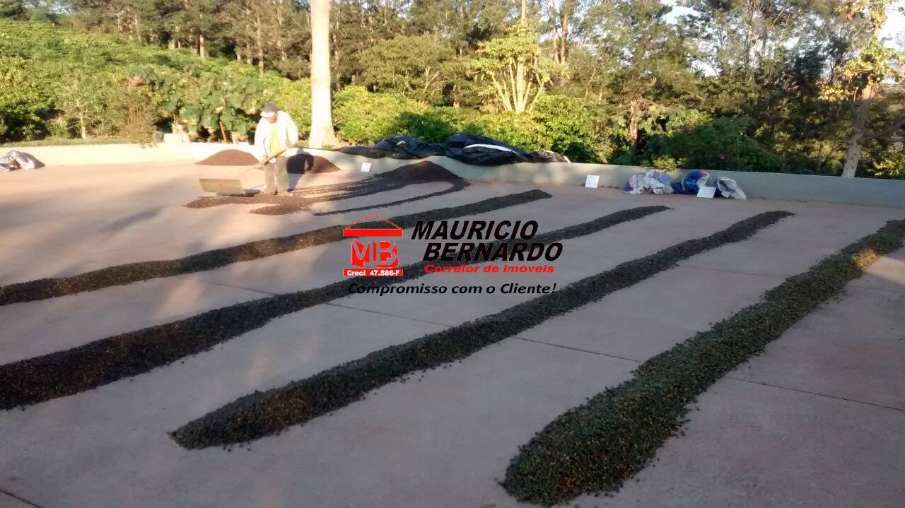 Sítio, 4 quartos, 4 m² - Foto 17