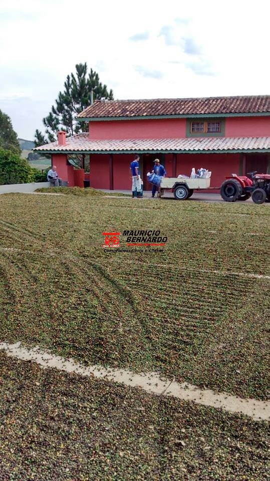 Sítio, 4 quartos, 4 m² - Foto 21