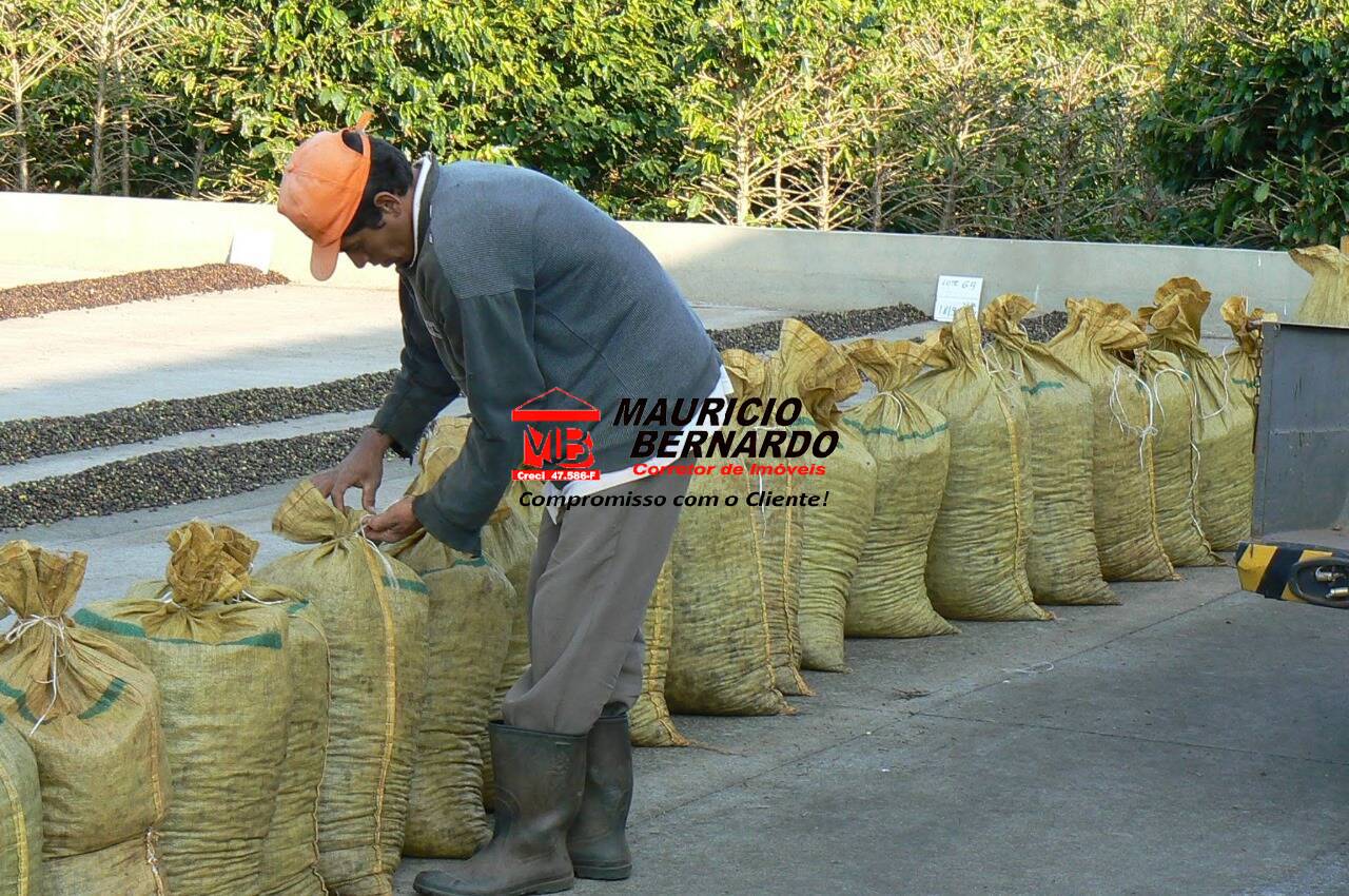 Sítio, 4 quartos, 4 m² - Foto 23