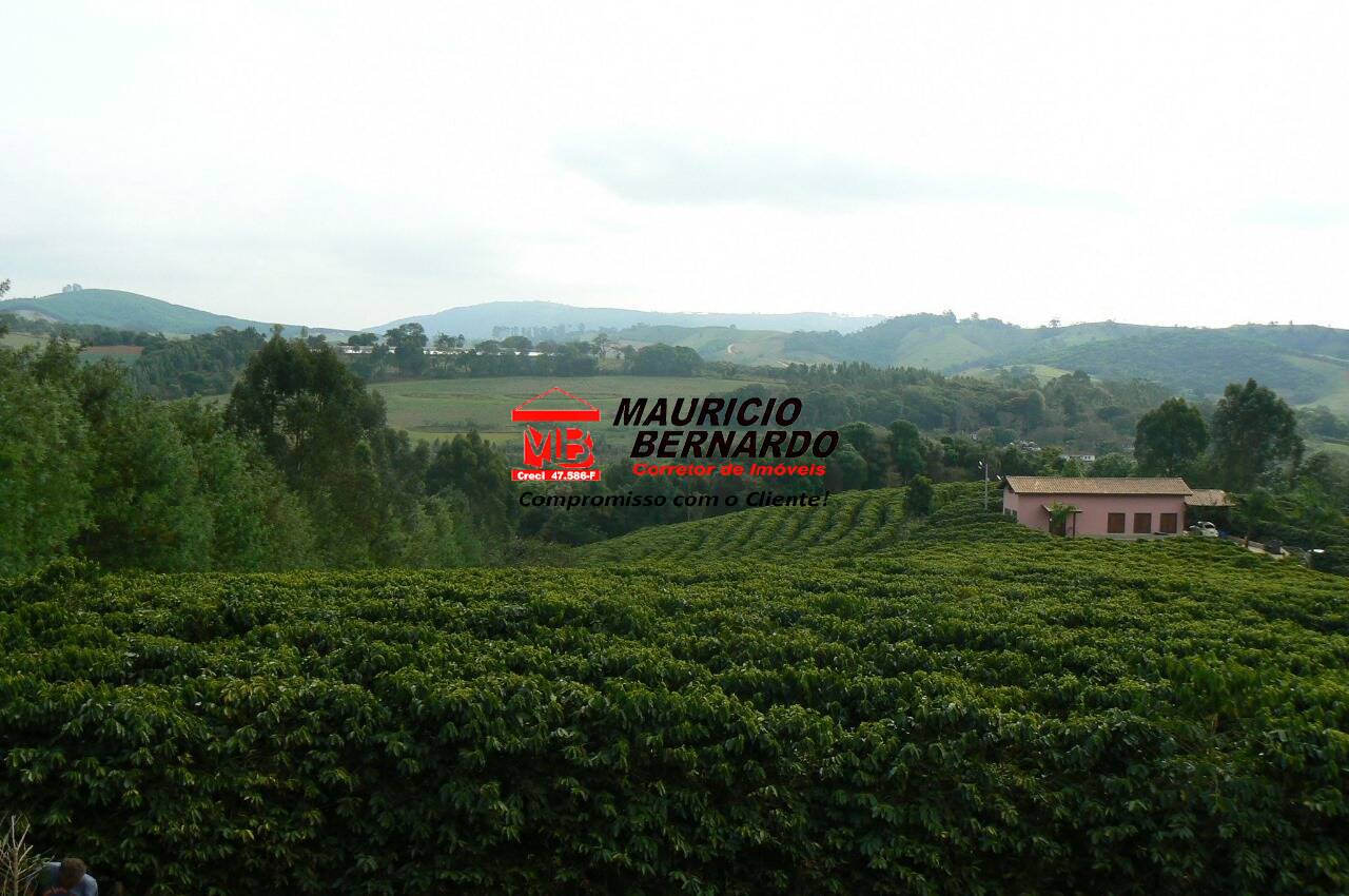 Sítio, 4 quartos, 4 m² - Foto 25