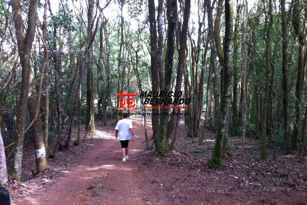 Sítio, 4 quartos, 4 m² - Foto 26