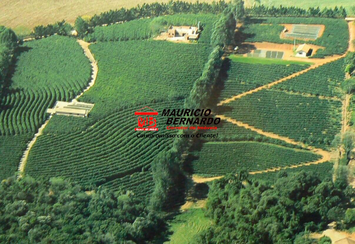 Sítio, 4 quartos, 4 m² - Foto 4