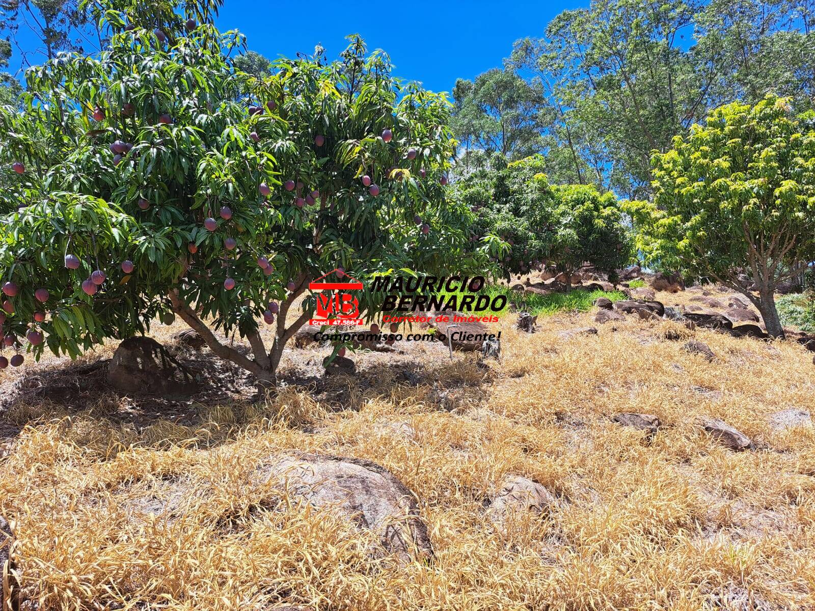 Terreno, 4 m² - Foto 3