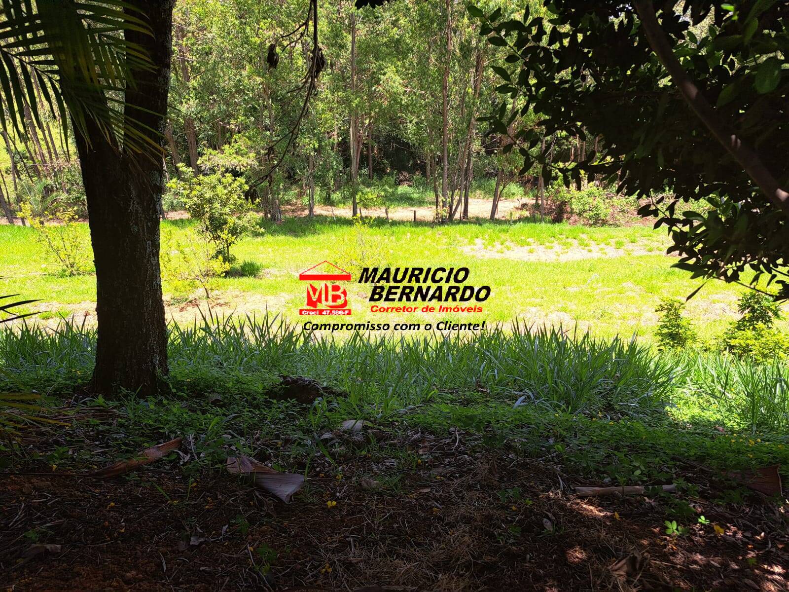 Terreno, 4 m² - Foto 8