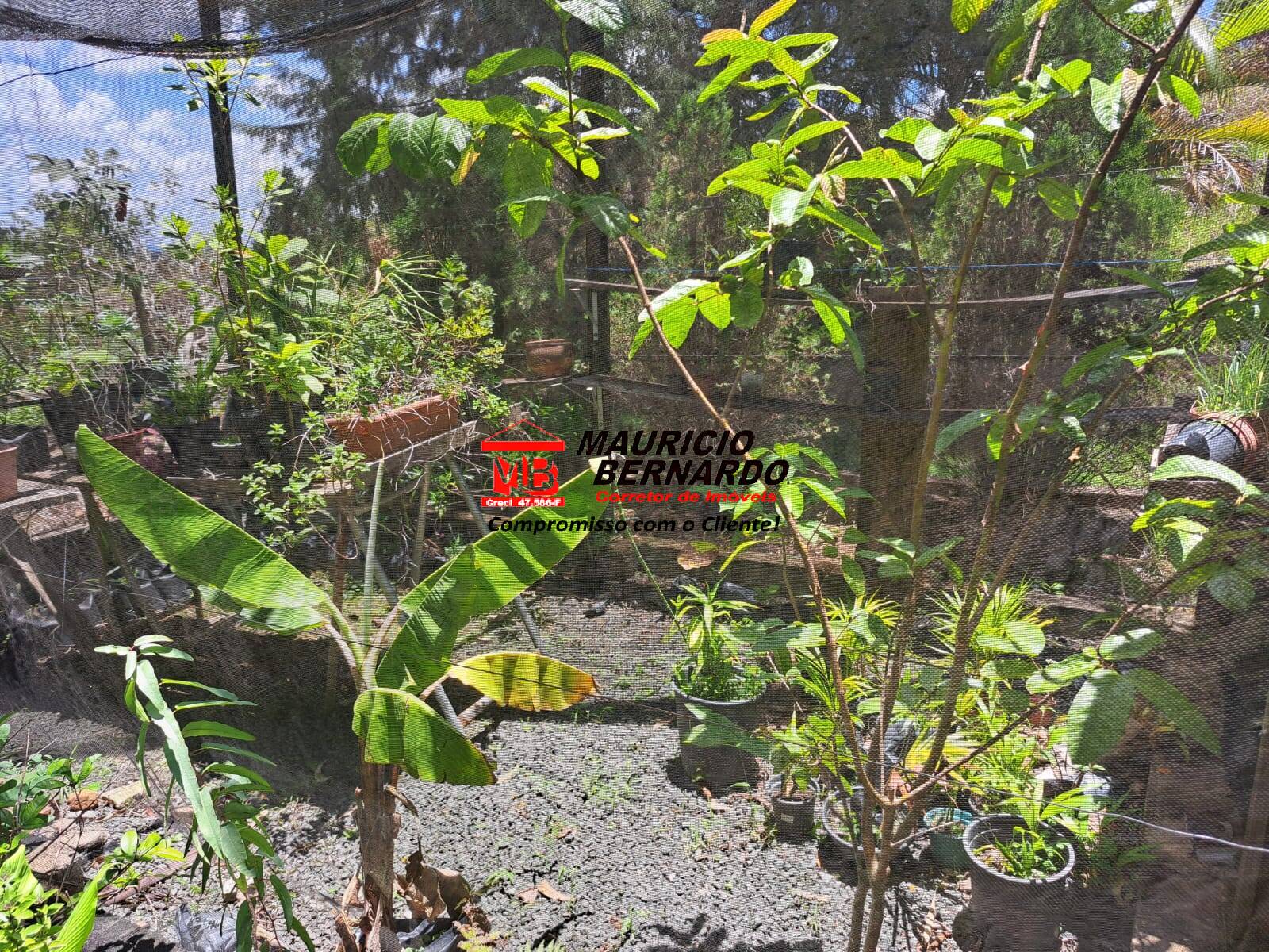 Terreno, 4 m² - Foto 11
